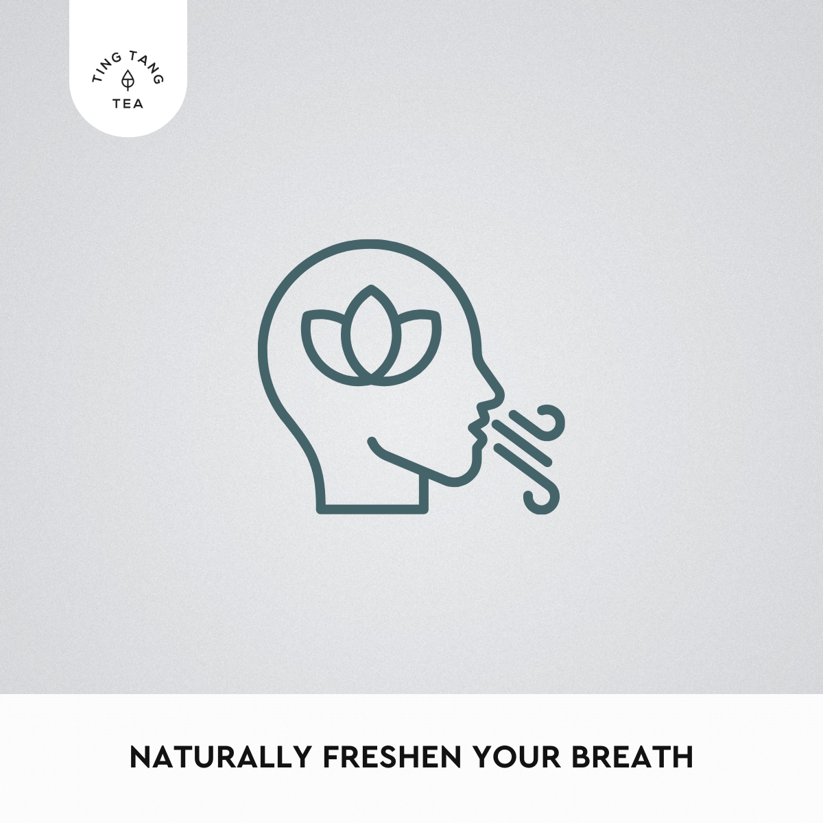 Peppermint & Moringa Tea (20 Teabags)