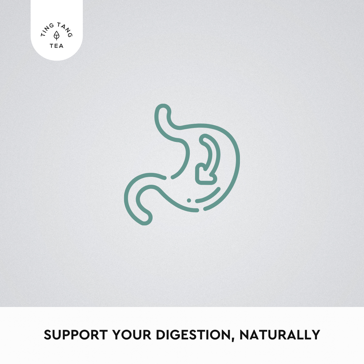 Rooibos & Peppermint Tea (20 Teabags)