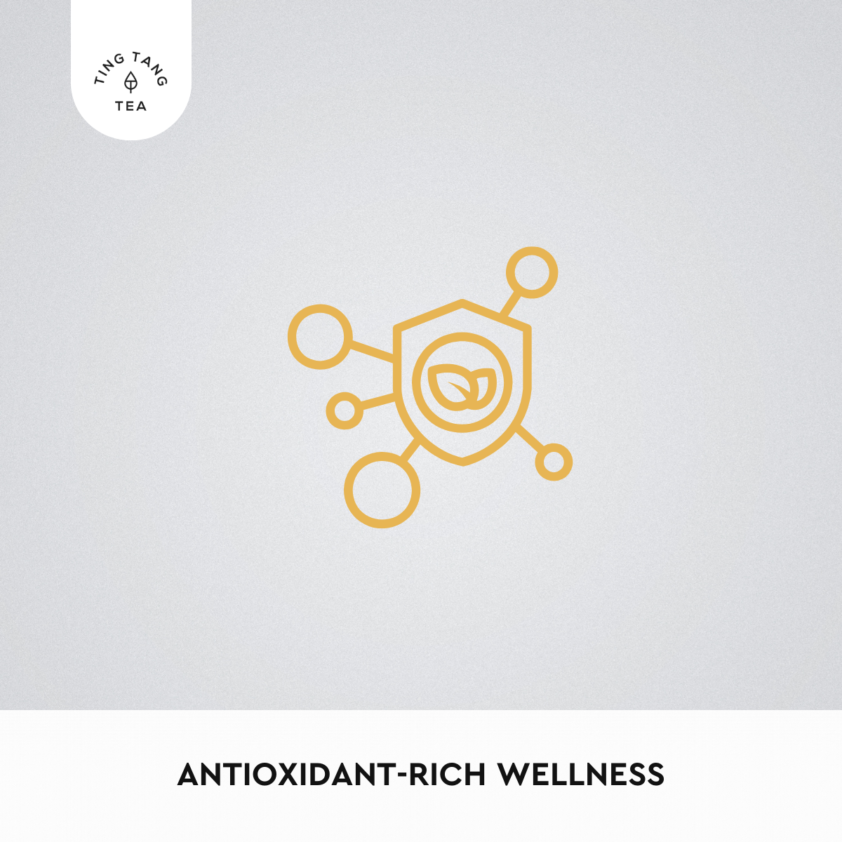 Immune Boosting Tea (20 Teabags)