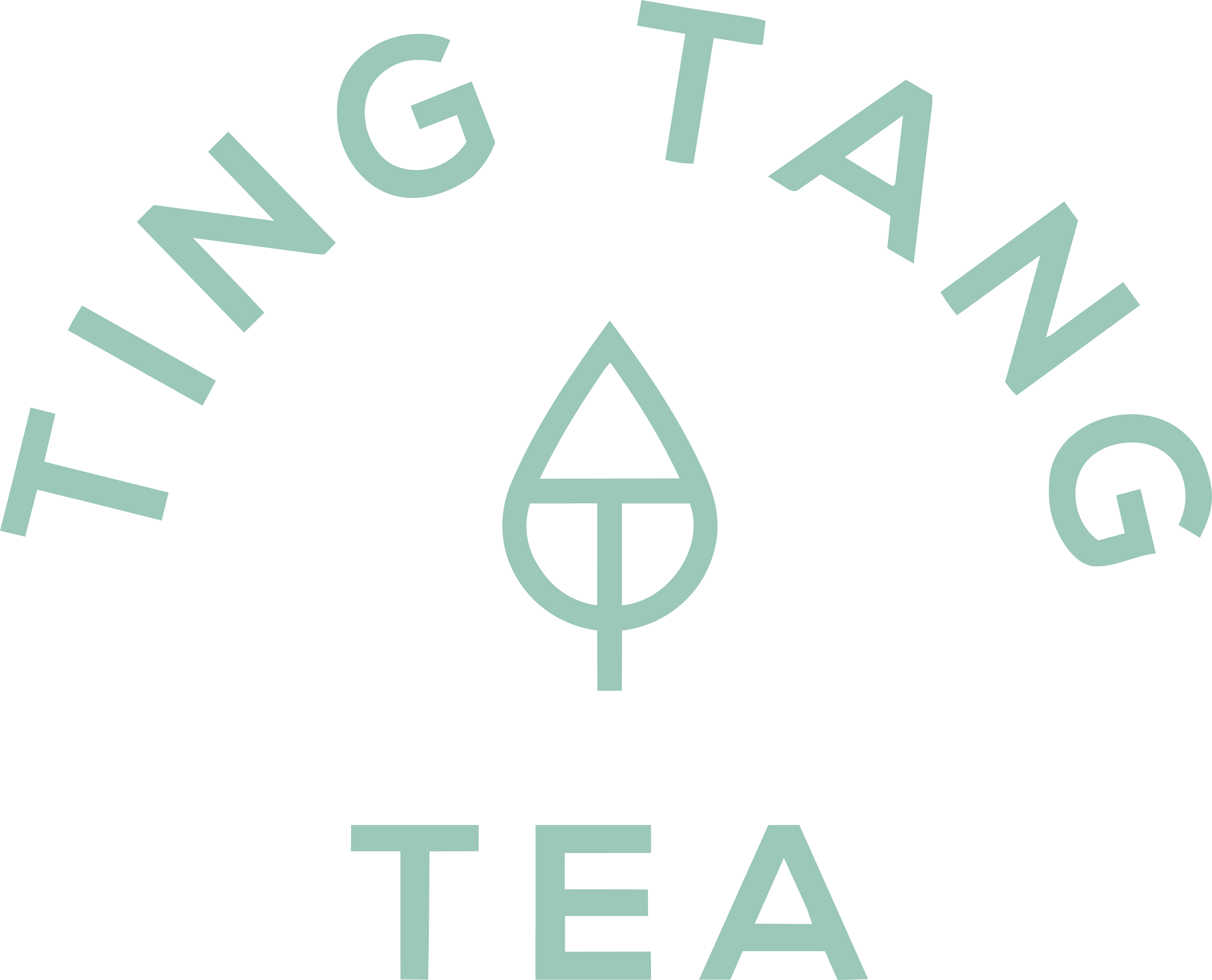TingTang Tea